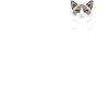 Ragdoll cat pocket