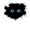 Yeux de chat
