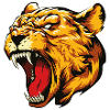 Lioness head animal