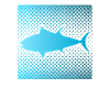 Funny tuna fishing