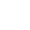 English bulldog
