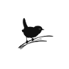 Oiseau