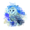 Hibou