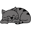 Gray sleeping cat