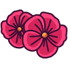 Géranium
