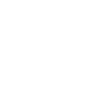 Lion ACHTENKAS