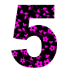 Number 5