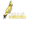 Cockatiel budgie parakeet bird