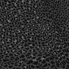 BLACK LEOPARD