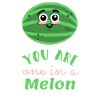 Melon Watermelon Melon Watermelon