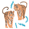 Exotic Bengal Tigers