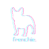 French bulldog