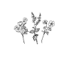 Blumen - Minimalistisch Abstrakt