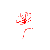 FLOWER RED