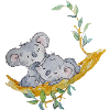koalas tenderness