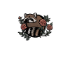 cute raccoon
