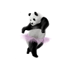 Panda dance