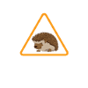 Hedgehog