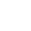 Survivor