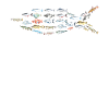 Poisson dans le poisson