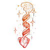 coeur-cerveau anatom ou chercheur cadeau