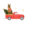 German Shepherd Christmas Pickup Truck