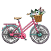 Women's Bicycle Flowers
