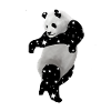Dance to the night