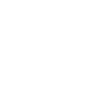 Heartbeat Truck Tesla Cyber Cybertruck
