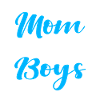 Mom of Boys