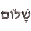 Shalom text peace