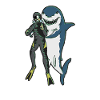 Shark divers