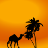 kamel, palme, wüste