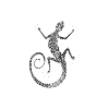 T-shirt geckos