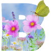 spring flowers butterfly b