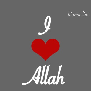 I love Allah