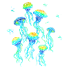Swirly Jellyfish