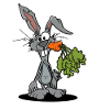 Funny Rabbit Gift