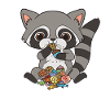 Raccoon Raccoon Baby Racoon