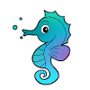 Hippocampe hippocampe