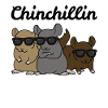 Chinchilla Tshirt Chinchillin Sweet Chinchilla