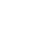 Sig Sauer