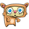 Funny animal