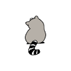 animal raccoon 2