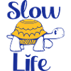 Slow life turtle