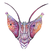 Orchid mantis