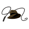 Hat and whip