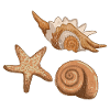 Sea shells and starfish