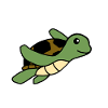 animal turtle 1