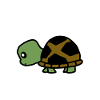 animal turtle 4